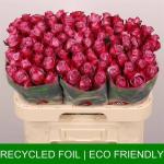 eca54aba-fd80-40a3-8d87-6367da394ebf.jpg