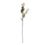 ecae5fe9-818b-4c3d-b157-87ffecce0f25.webp