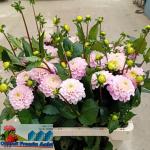 ecb1087a-1c42-467e-8a2c-8dfacf99178f.jpg