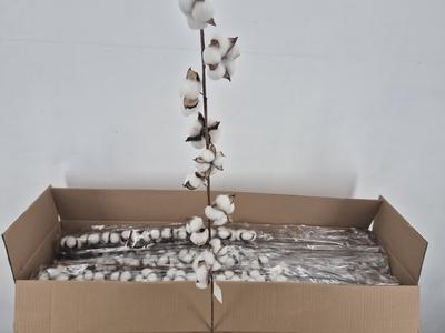 Huis en tuindecoratie overig H%