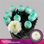 ed79ec21-0734-4666-b62a-3ab81c5b8a57.jpg