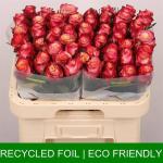 edb4dcff-eb9b-4fe1-bab5-c0a9ce06aa19.jpg