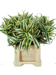 edb93b9d-2ecd-4a1c-a716-f90eb2e60f02.png