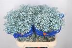 edba7593-4ef2-4cfa-acc9-669aebf9afe2.jpg