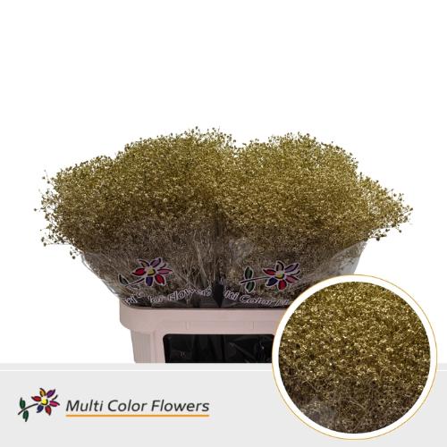 Gypsophila overig kleurbehandeld H%