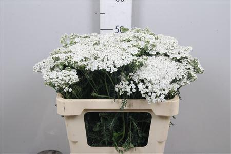 eeb4f048-78d9-4bf8-94f0-922b8ee7f123.jpg