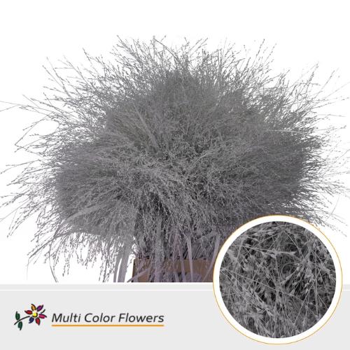 Siergras kleurbehandeld H%