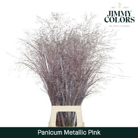 Siergras kleurbehandeld H%