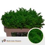 eee6ac5b-459f-4024-9cad-154e54e8c659.jpg