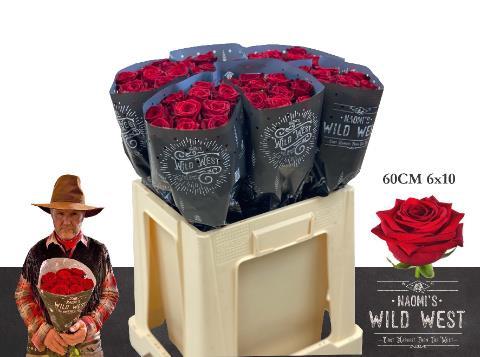 Rosa grootbloemig Red Naomi!