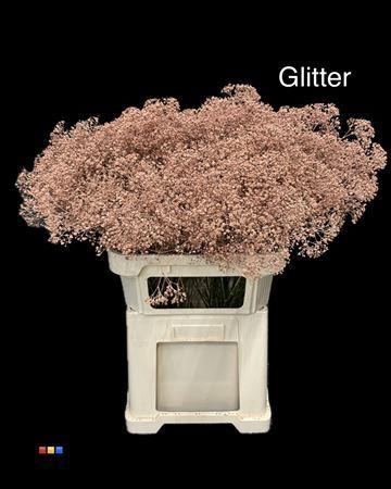 Gypsophila overig kleurbehandeld H%