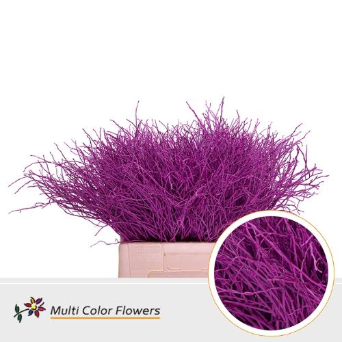 Vaccinium kleurbehandeld H%