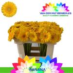 ef389b0f-93a4-4c53-b592-8852dea45245.jpg