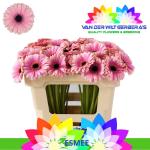 ef6bb6a9-7f64-4b60-bb79-ad183ea0b7e5.jpg
