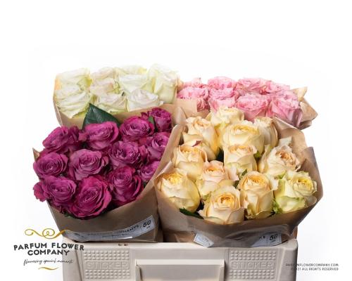 Rosa grootbloemig overig