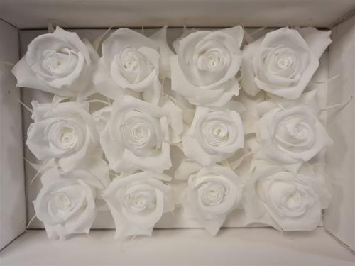 Rosa grootbloemig kleurbehandeld H%