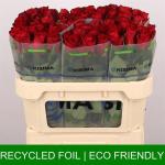 efbd3e32-aee8-4f41-8b40-36a9727512a5.jpg