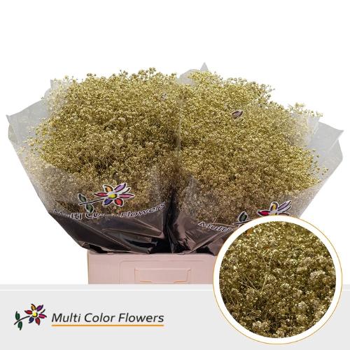 Gypsophila overig kleurbehandeld H%