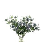 eryngium-rez-1.jpg