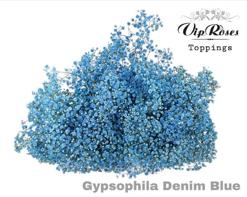 Gypsophila overig kleurbehandeld H%