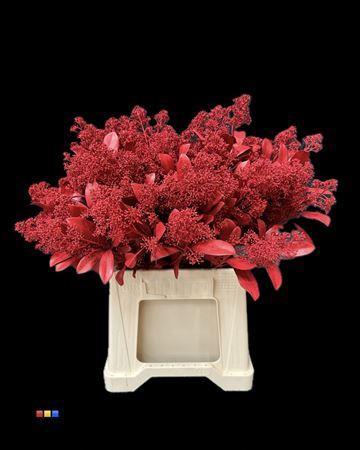 Skimmia per bos overig kleurbehandeld H%