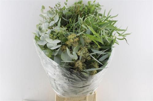 Eucalyptus per bos gemengd