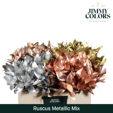 Ruscus kleurbehandeld H%