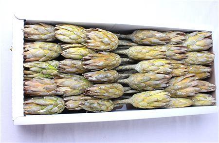 Huis en tuindecoratie overig 6%