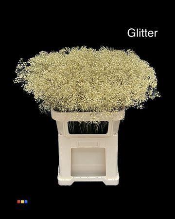 Gypsophila overig kleurbehandeld H%