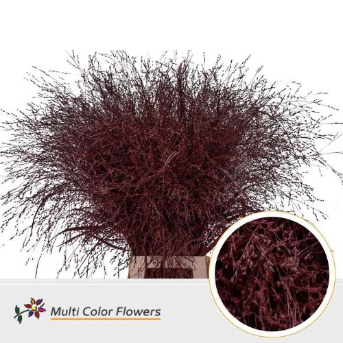 Siergras kleurbehandeld H%