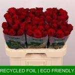 f1f3ad06-1ab2-4a3f-ab88-fad42c44f6e3.jpg