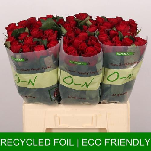 Rosa grootbloemig Red Tacazzi+