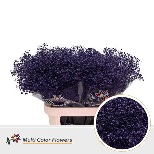 Gypsophila overig kleurbehandeld H%
