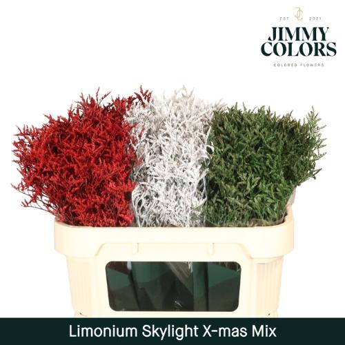 Limonium overig kleurbehandeld H%