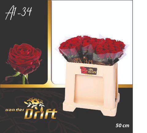 Rosa grootbloemig Red Naomi!