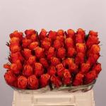f3365feb-7066-46a9-9874-dcc515fda672.jpg