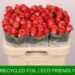 f340e560-0be5-4409-b700-85db38c36cd1.jpg