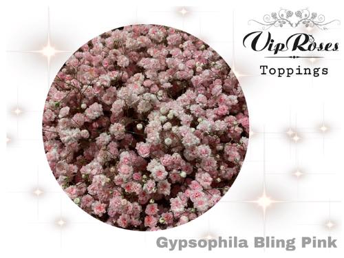 Gypsophila overig kleurbehandeld H%