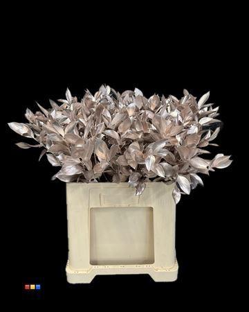 Ruscus kleurbehandeld H%