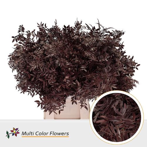 Decoratiegroen kleurbehandeld per bos H%