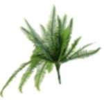 f4396367-d0a1-43d0-a2bc-5b0f26c27b27.webp