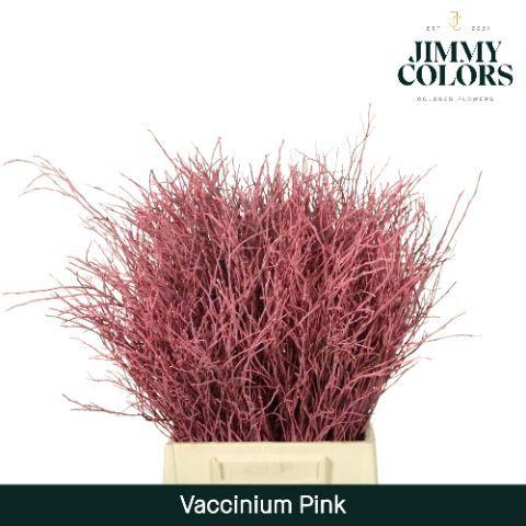 Vaccinium kleurbehandeld H%