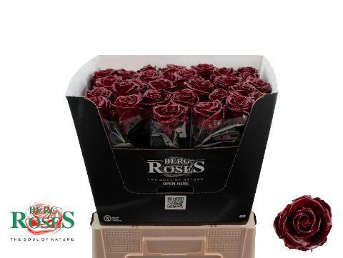 Rosa grootbloemig gewaxt H%