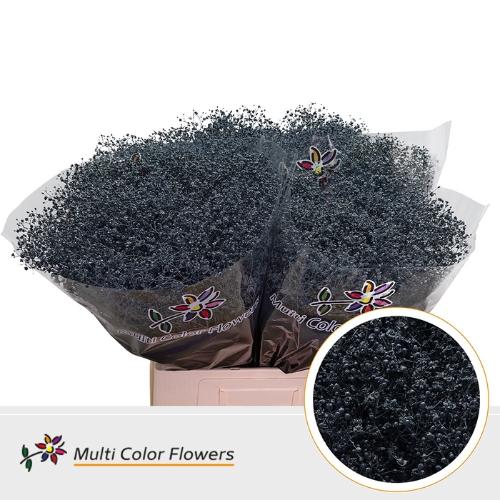 Gypsophila overig kleurbehandeld H%
