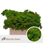 f5cc2ec9-dcce-4c33-ab39-7be424e6ddfb.jpg