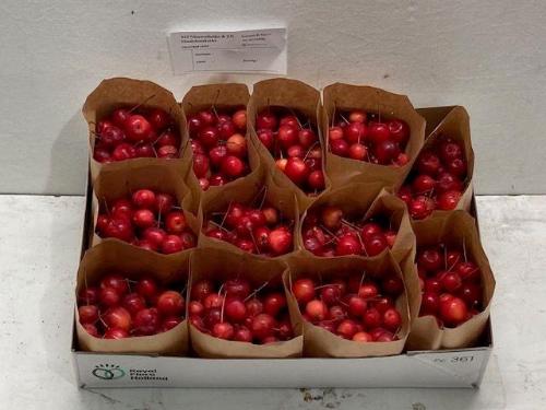 Siervruchten per bak Malus 'Red Sentinel'