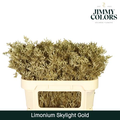 Limonium overig kleurbehandeld H%