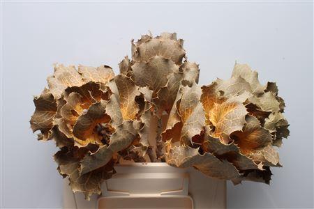 Huis en tuindecoratie overig 6%