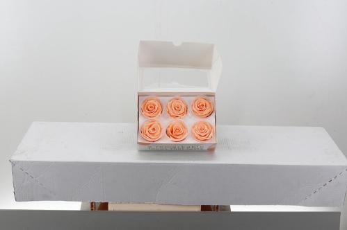 Rosa grootbloemig kleurbehandeld H%