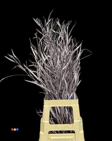 Decoratiegroen kleurbehandeld per bos H%